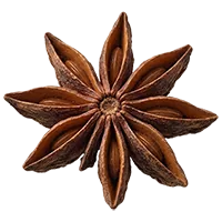 Star anise, one of the ten ingredients in the Subur Honey blend