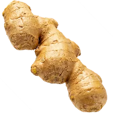 Fresh ginger root, one of the ten ingredients in Subur Honey
