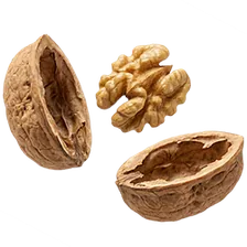 Walnuts, a natural ingredient in the Subur Honey blend